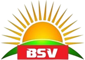 bsv-png-logo